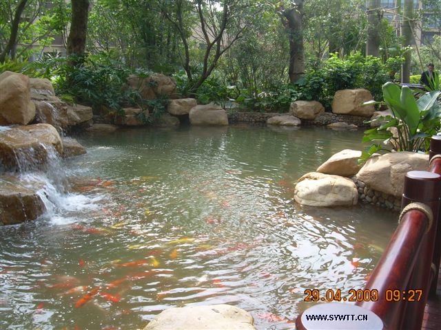 �\��ɽ�f-���^�~��