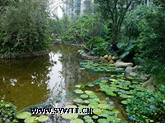 �I�����-���^ˮ��