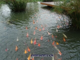 ��ɳ�齭��-���^�~(y��)��