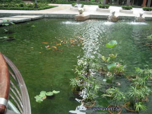 �P�������@-���^�~��