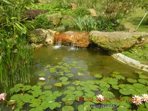 �����\ӛ-�o�ޘO�в�ˎ�@-�˹���