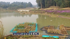 �Ϻ�������-�˹���