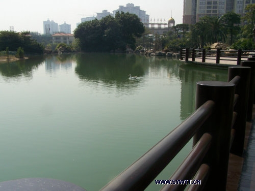 �R���³�-�˹���