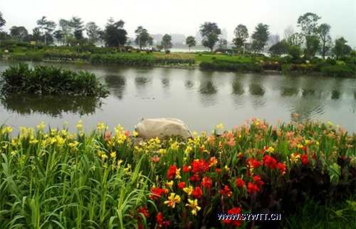 �����-�˹���