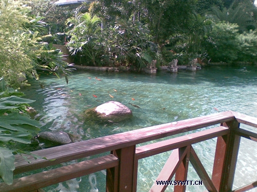 ���h������-���^ˮ��