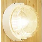 TYLO������