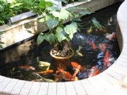 �ؗo�@�e��-���^�~��