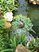 �ؗo�@�e��-���^�~��