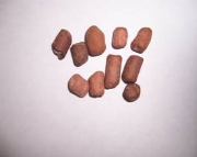 �ͺ����B�V��