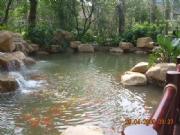 �\��ɽ�f-���^�~��