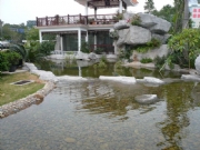 Pro_Images/P���|���e�^-���^ˮ�أ�