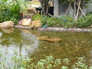 �|���e�^-���^ˮ��