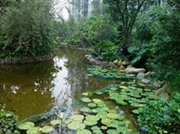 Pro_Images/P���I�����-���^ˮ�أ�