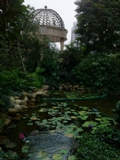 �I�����-���^ˮ��