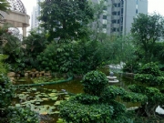 �I�����-���^ˮ��