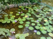 �I�����-���^ˮ��