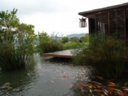 ��ɳ�齭��-���^�~(y��)��