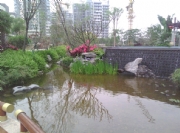 ��ɳ�齭��-���^�~(y��)��