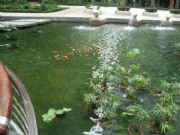 Pro_Images/P���P�������@-���^�~�أ�