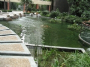 �P�������@-���^�~��