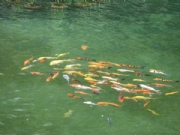 �P�������@-���^�~��