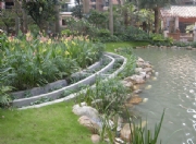 ���h�S�۰�u�����ڣ�-�˹���