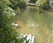 ���h�S�۰�u�����ڣ�-�˹���