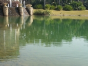 �R���³�-�˹���