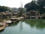 �R���³�-�˹���