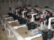 �V�|���X��-�@�־��^Ӿ��