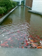 �V��ˇ��Ժ-���^ˮϵ