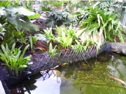 �V��ˇ��Ժ-���^ˮϵ