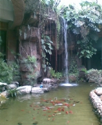 �V��ˇ��Ժ-���^ˮϵ