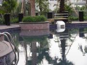 Pro_Images/P�����黨�@-ȹ�����_Ӿ�أ�