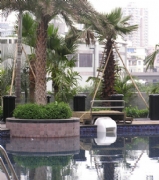 ���黨�@-ȹ�����_Ӿ��