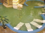 ��ɽ�Ƶ�-ˮ��ɣ��