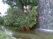 ��������С�^-��Ȫˮ��