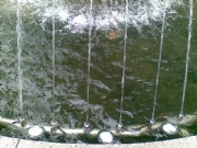 ɳ�����Ĺ��@-��Ȫˮ��